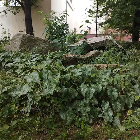 Daire Antoniego Old Town