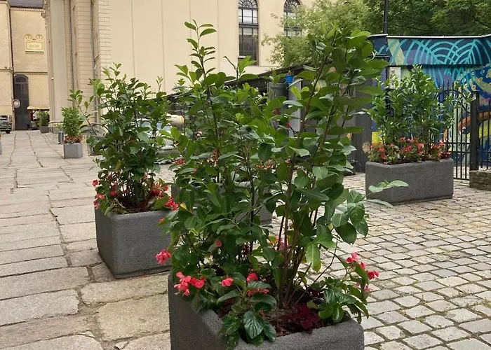 Daire Antoniego Old Town *