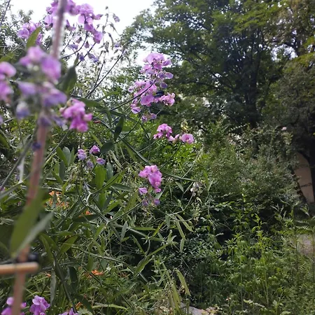 Antoniego Old Town Appartamento *