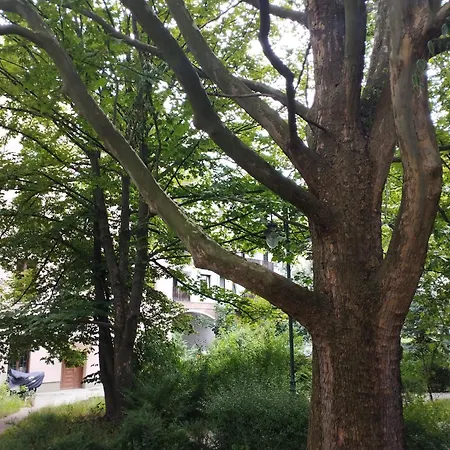 Appartamento Antoniego Old Town