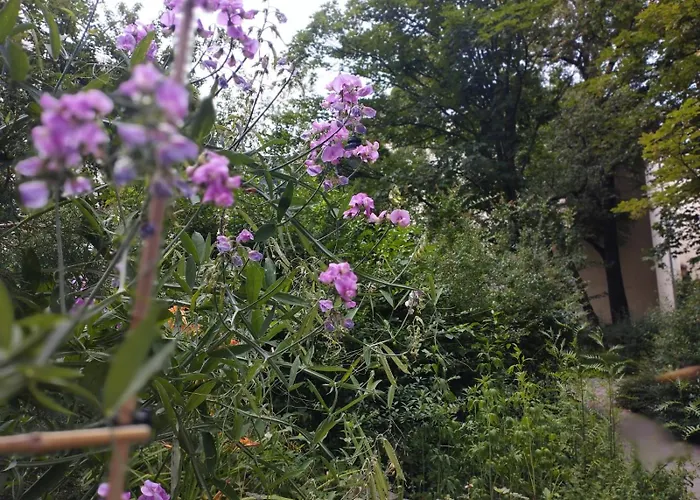 Antoniego Old Town Apartment *