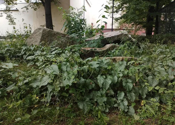 Apartment Antoniego Old Town