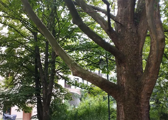 Apartment Antoniego Old Town